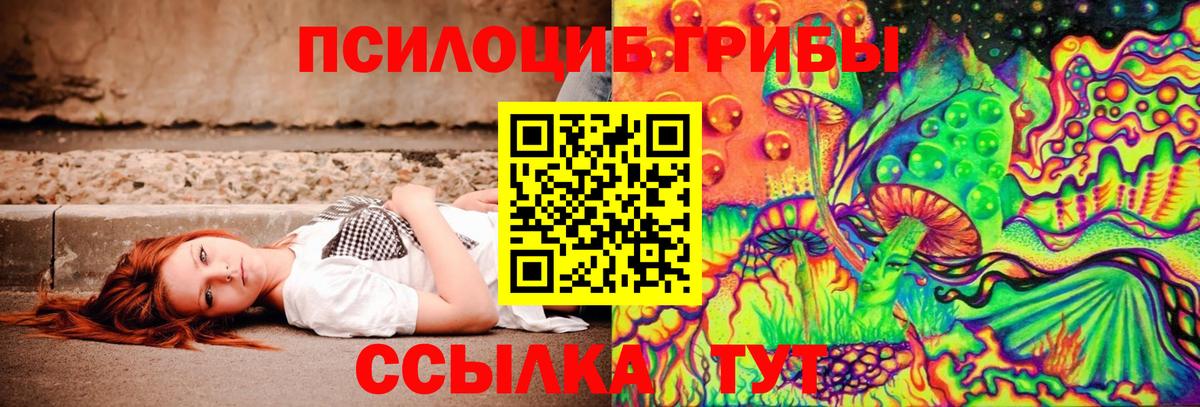 Псилоцибиновые грибы Psilocybine cubensis Коркино
